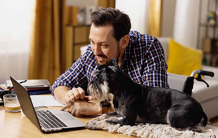 A man in a wheelchair sits at his desk and browses website