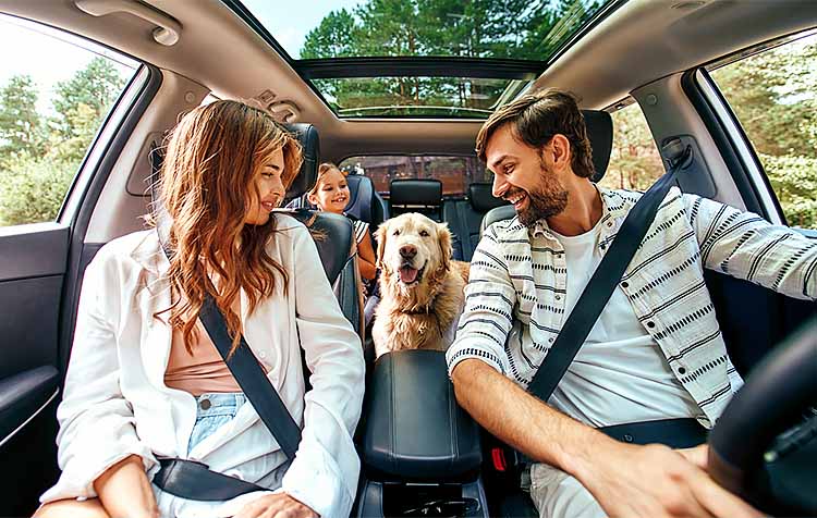 Family and their dog inside car